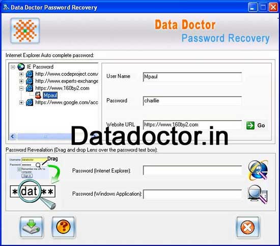 Screenshot of IE Password Recovery